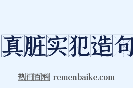 真脏实犯造句是什么意思的图片